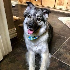 Meet your Posher, Amie